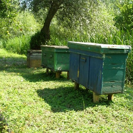 Pelican City Vylkove Exterior foto