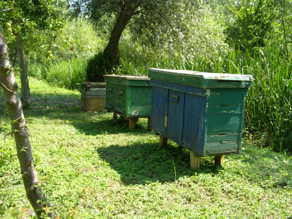 Pelican City Vylkove Exterior foto